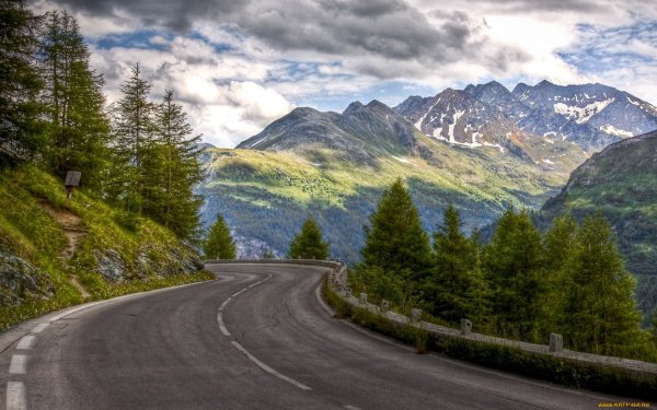 Красивая дорога