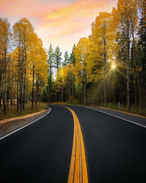 Аляска пейзаж дорога