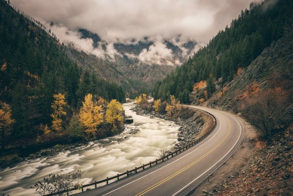 Дорога в лесу