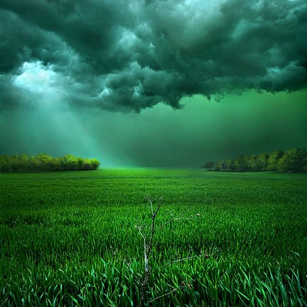 Красивая природа пасмурно