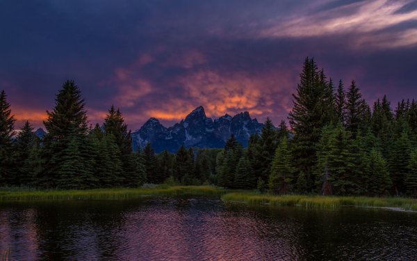 Вечерний лес