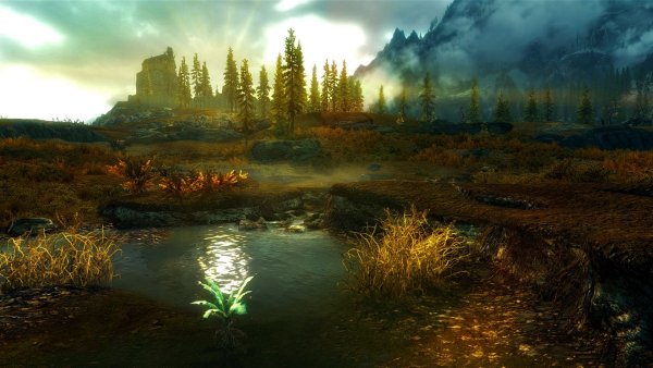 The Elder Scrolls v Skyrim природа