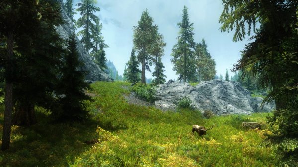 Сосновый Бор скайрим