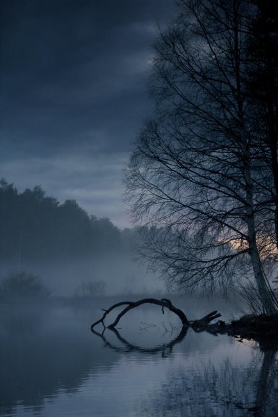 Грустная природа