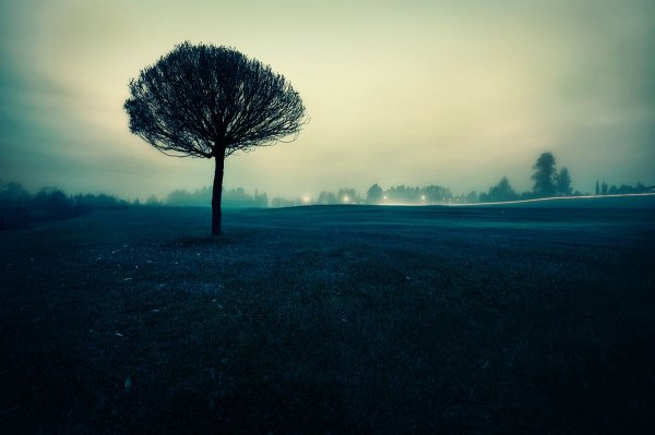 Печальный пейзаж