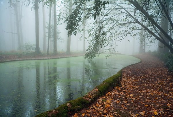 Грустная картина природы
