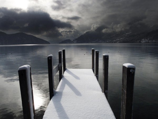 Печаль природа