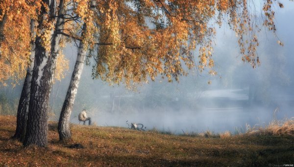 Осенний пейзаж светлый