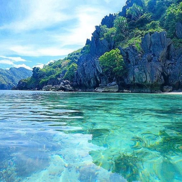 Манила природа