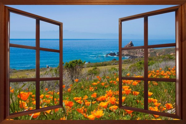 Фотообои вид на море из окна