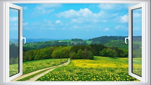 Timothy Easton художник окно