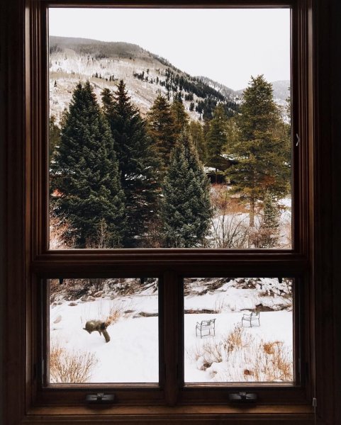 Стивен Дарбишир (Stephen Darbishire)