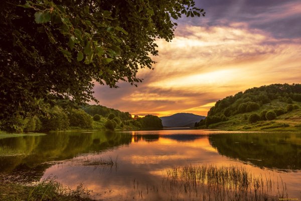 Красивая природа