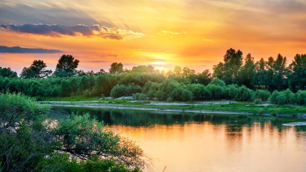 Природа река