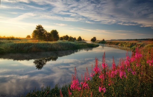 Красивая река