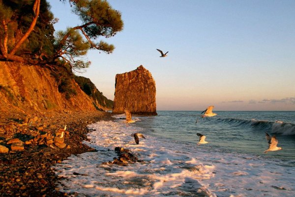 Скала Парус в Геленджике