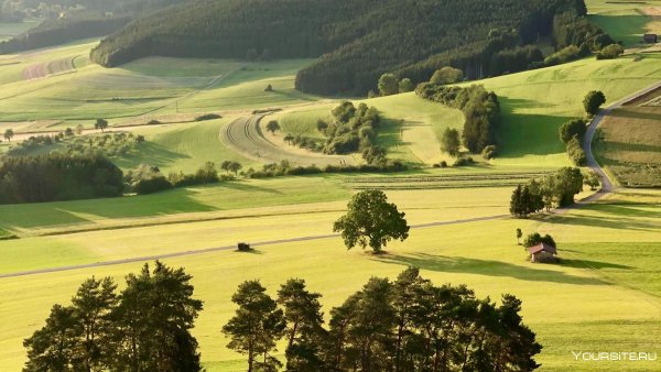 Природа с высоты птичьего полета