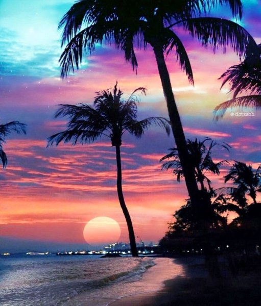 Море пальмы