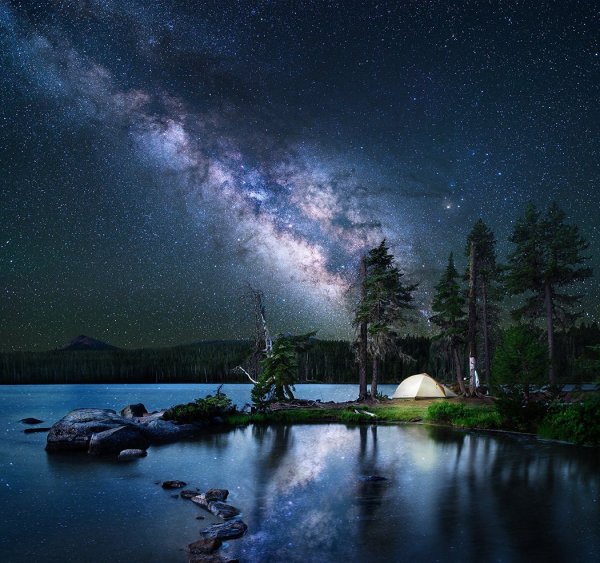 Ночная природа