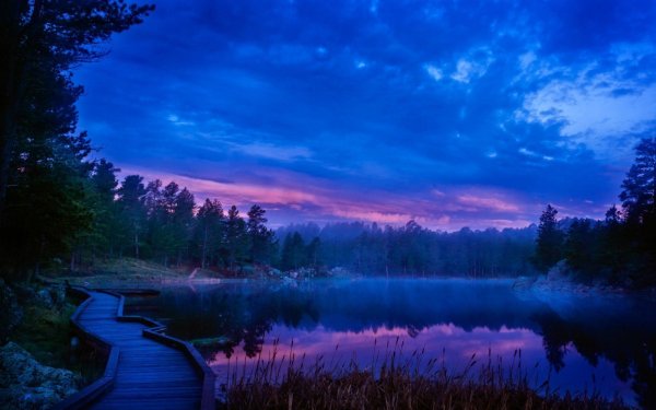 Красивая ночь