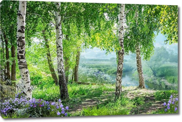 Фотообои комар Березовая роща