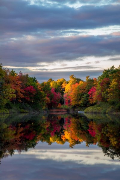 Красивая осень