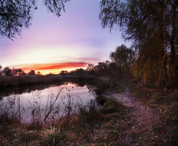 Азовский район природа