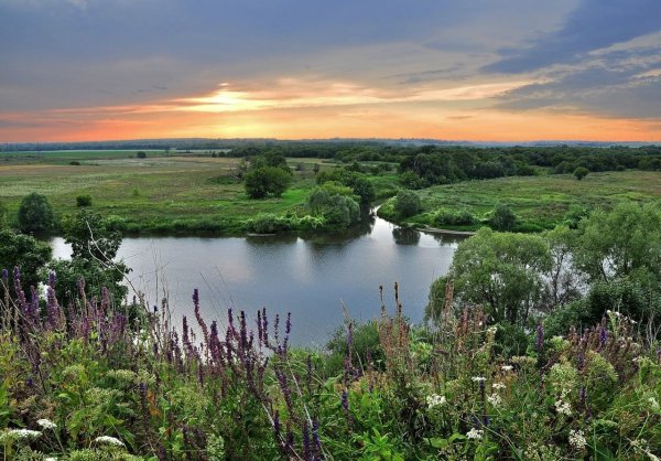 Река сосна Липецкая область