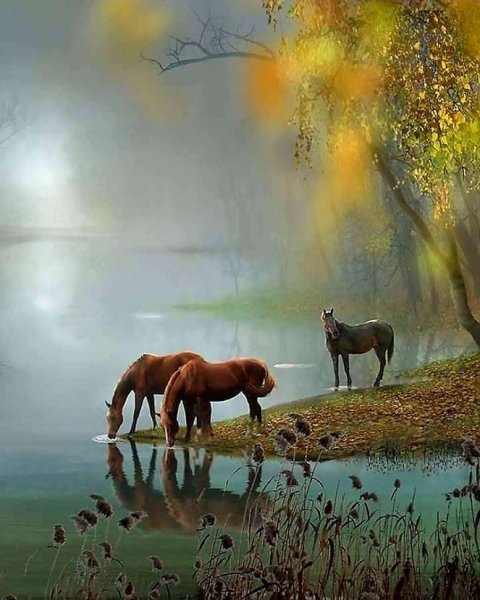 Лошади на природе