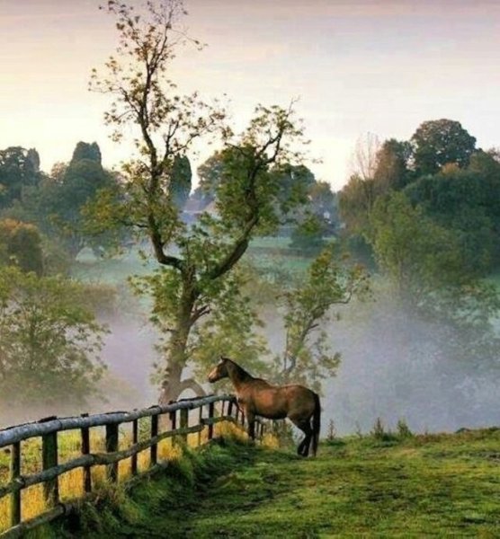 Пейзаж с лошадкой