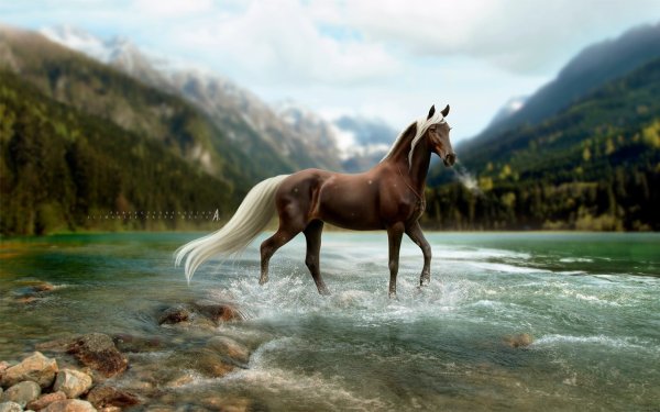 Лошади на фоне гор