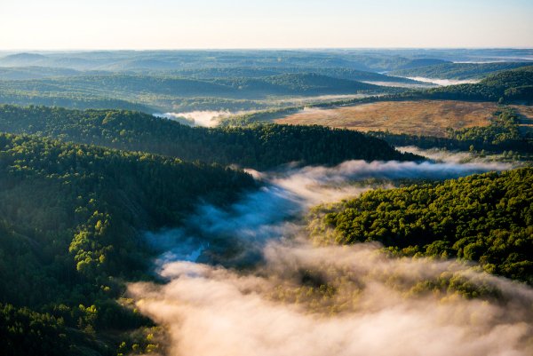 Природа Новосибирска и Новосибирской области