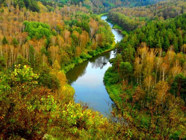Бердские скалы Новосибирская область