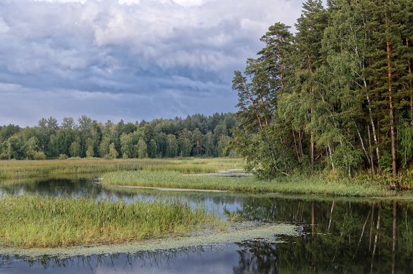 Река Изес Новосибирская область