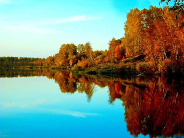 Природа Новосибирской области