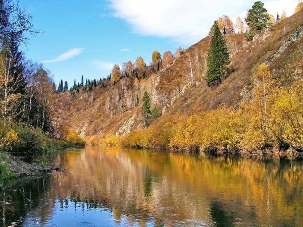 Салаирский Кряж Маслянино