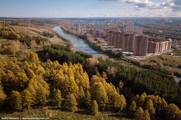 Новосибирск природа в городе