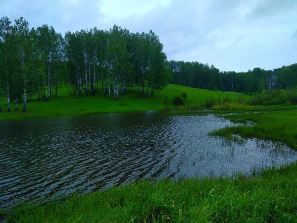 Свиное озеро Дмитровский