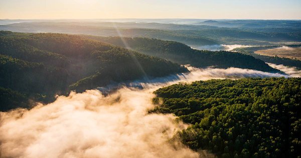 Река Бердь Новосибирской области с высоты птичьего полета