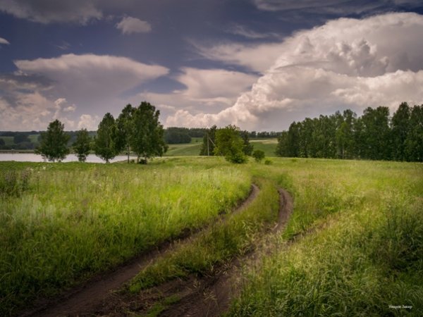 Природа города Черепанова НСО
