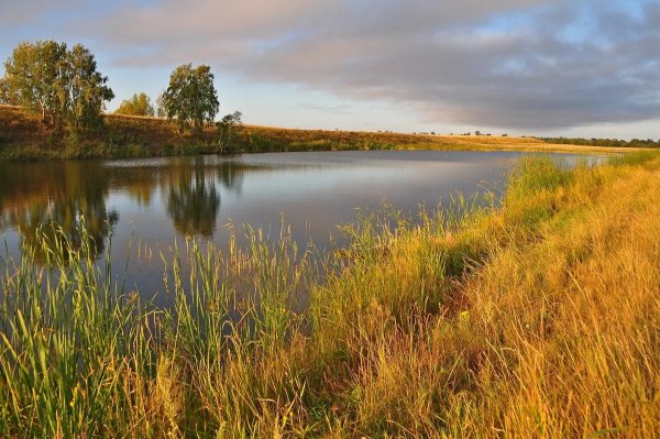 Река Омь Омская область