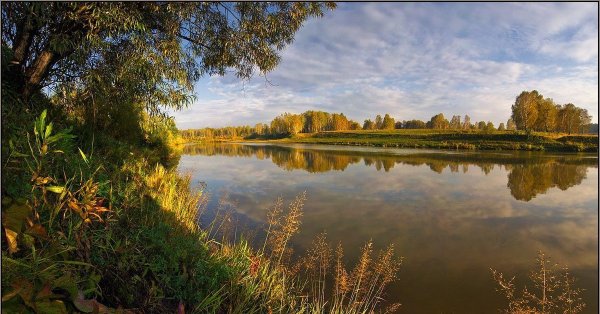 Природа Новосибирской области река Иня