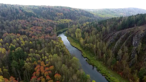 Тайга Салаирский Кряж