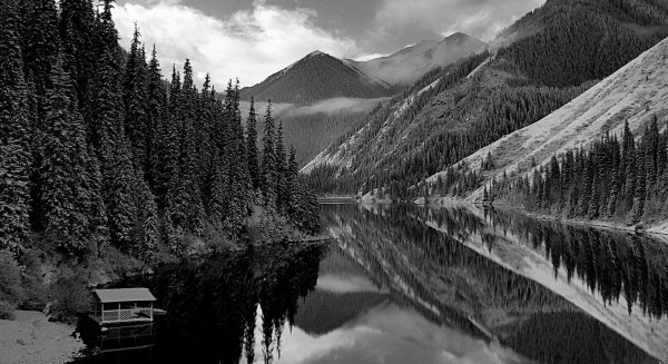 Черно белая природа