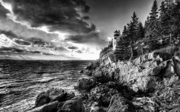 Ansel Adams фотограф