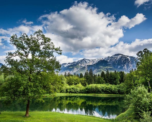 Летний пейзаж