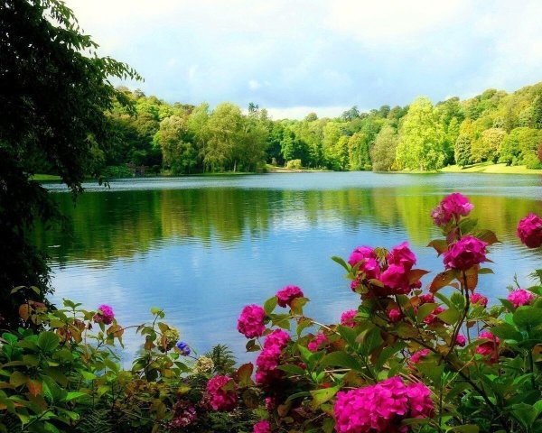 Природа летом