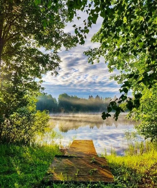 Сурские просторы поля лес дорога