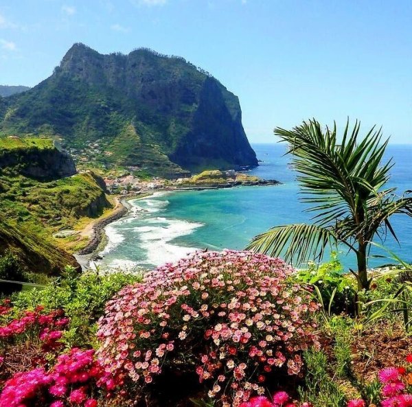 Мадейра Португалия природа