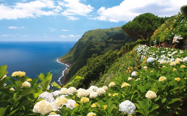 Азорские острова Португалия